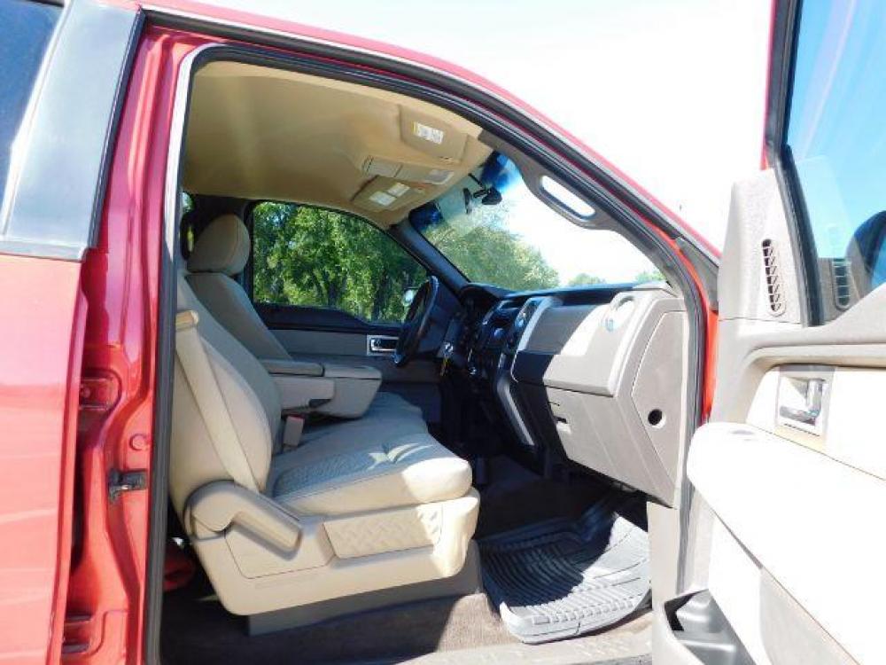 2010 Royal Red Metallic /Tan Cloth Interior Ford F-150 XLT SuperCrew 5.5-ft (1FTEW1C84AF) with an 4.6L V8 SOHC 24V engine, located at 900 South McDonald Street, McKinney, TX, 75069, (972) 529-2992, 33.189335, -96.613403 - Photo #19