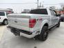 2010 Ingot Silver /Black Leather Interior Ford F-150 XLT FX2 Sport Package (1FTEW1C85AK) with an 4.6L V8 SOHC 24V engine, 6-Speed Automatic transmission, located at 900 South McDonald Street, McKinney, TX, 75069, (972) 529-2992, 33.189335, -96.613403 - Photo#6