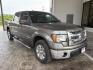 2013 Gray /Gray cloth Ford F-150 XLT SuperCrew 5.5-ft (1FTFW1CT4DK) with an 3.5L V6 TURBO engine, 6-Speed Automatic transmission, located at 900 South McDonald Street, McKinney, TX, 75069, (972) 529-2992, 33.189335, -96.613403 - Photo#0