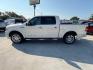 2008 White Chocolate Cera /Dove Grey Leather In Lincoln Mark LT 2WD (5LTPW16578F) with an 5.4L V8 SOHC 24V engine, 4-Speed Automatic transmission, located at 900 South McDonald Street, McKinney, TX, 75069, (972) 529-2992, 33.189335, -96.613403 - Photo#1