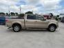 2013 Gold Ford F-150 Lariat SuperCrew 6.5 (1FTFW1CF7DK) with an 5.0L V8 engine, 6-Speed Automatic transmission, located at 900 South McDonald Street, McKinney, TX, 75069, (972) 529-2992, 33.189335, -96.613403 - Photo#5