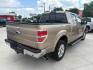 2013 Gold Ford F-150 Lariat SuperCrew 6.5 (1FTFW1CF7DK) with an 5.0L V8 engine, 6-Speed Automatic transmission, located at 900 South McDonald Street, McKinney, TX, 75069, (972) 529-2992, 33.189335, -96.613403 - Photo#6